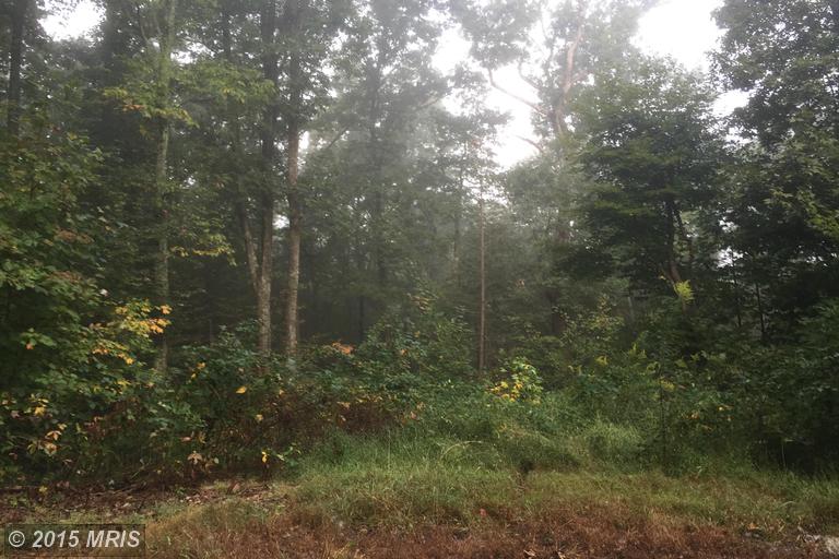 578 Pointy Knob Road