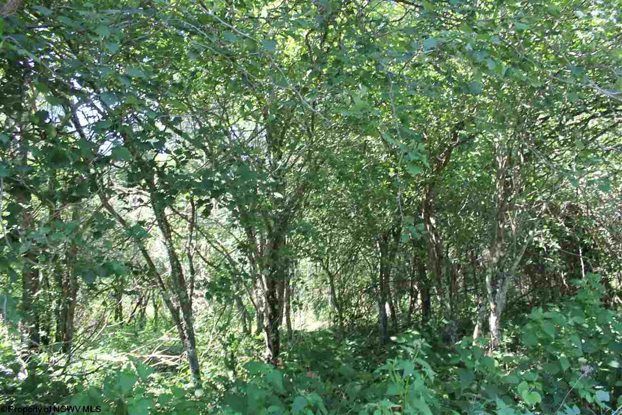 23 Cherry Ridge Road, Dry Fork, WV 26263