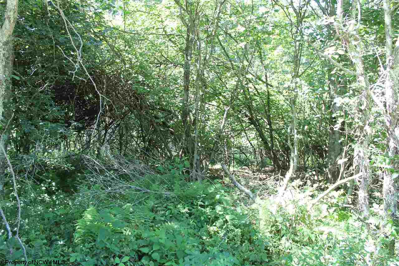 23 Cherry Ridge Road, Dry Fork, WV 26263