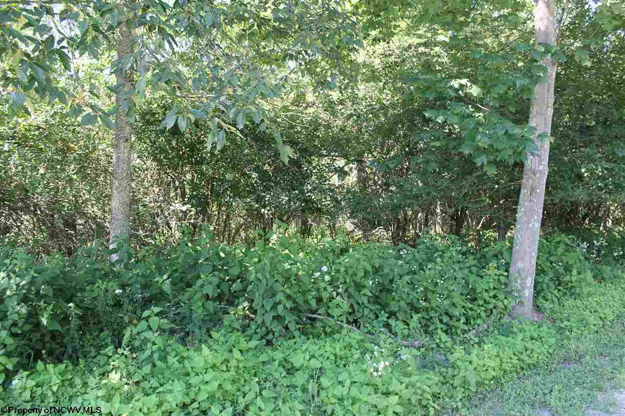23 Cherry Ridge Road, Dry Fork, WV 26263