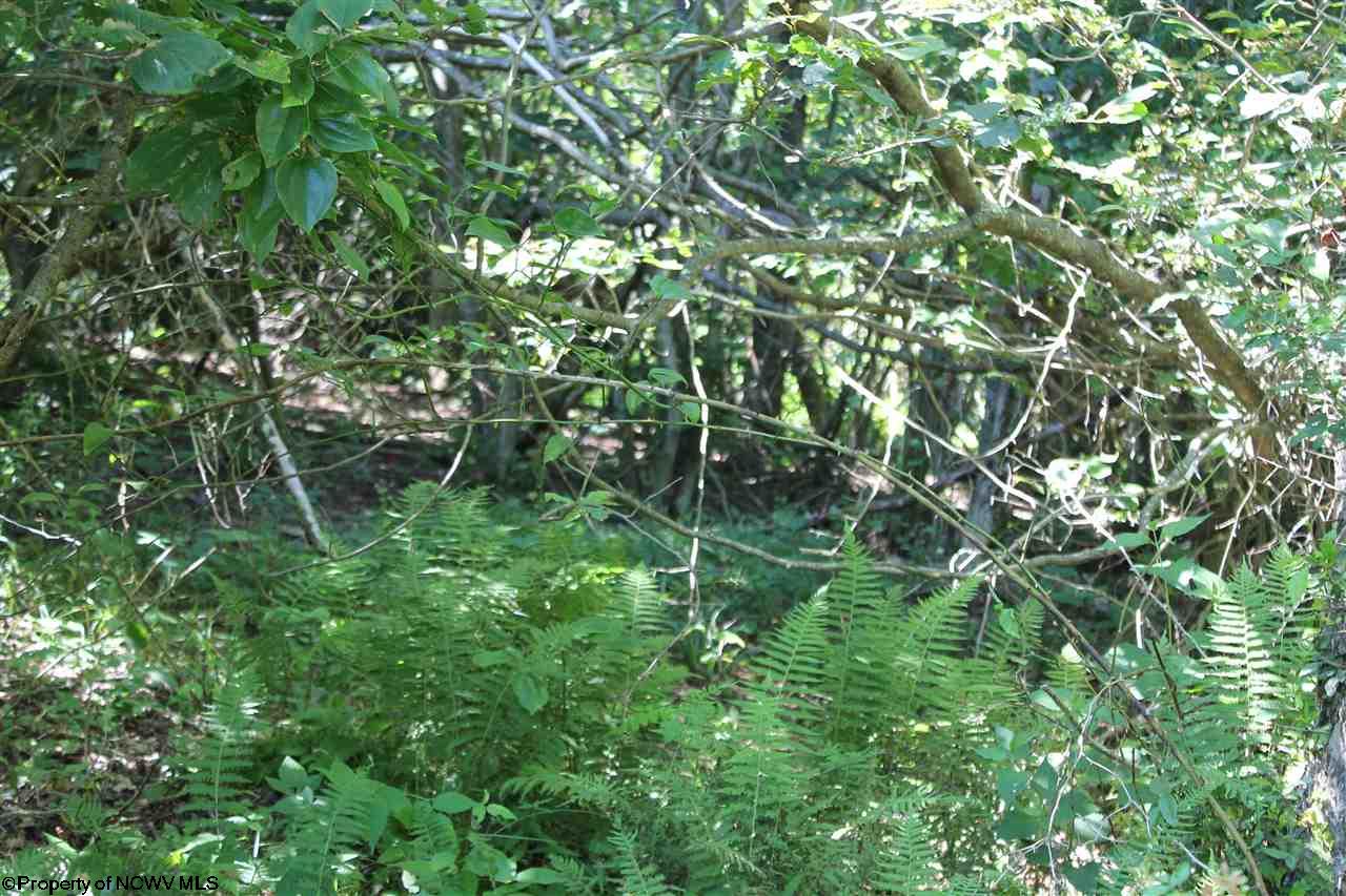 23 Cherry Ridge Road, Dry Fork, WV 26263