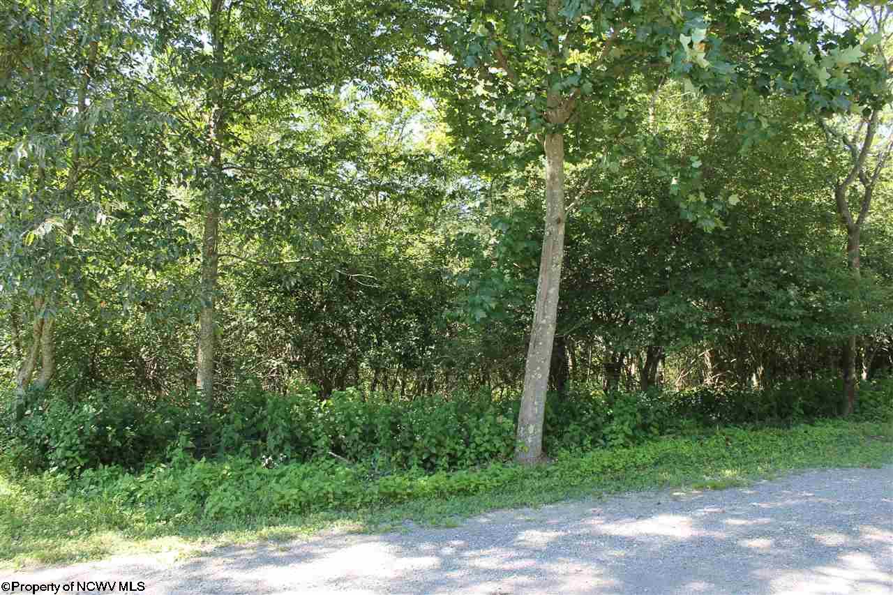 23 Cherry Ridge Road, Dry Fork, WV 26263