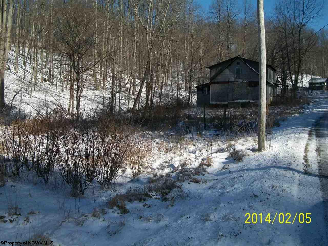 HC 71 Box 32 BURKE HILL Road, Ellamore, WV 26267