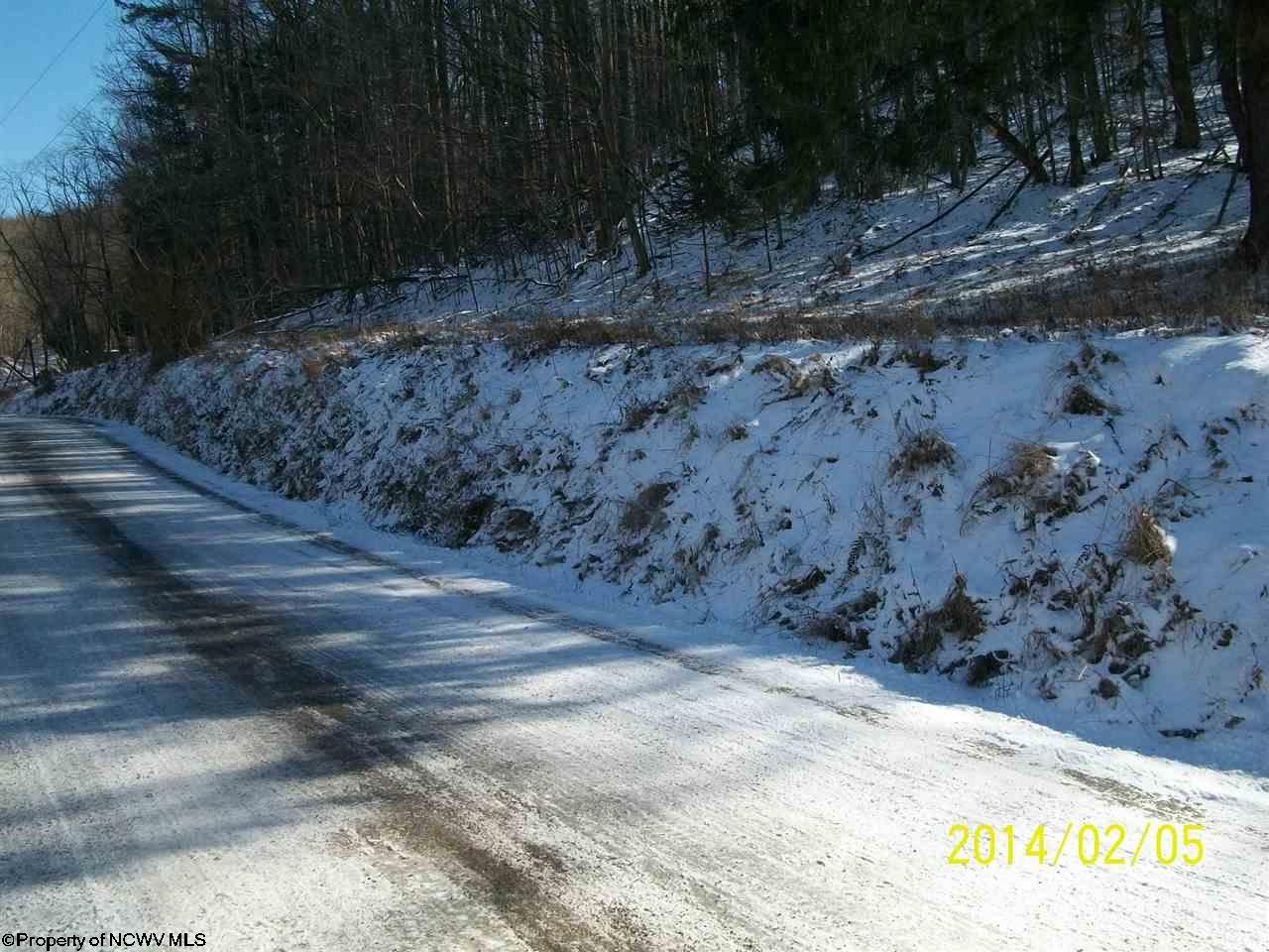 HC 71 Box 32 BURKE HILL Road, Ellamore, WV 26267