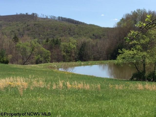 LOT 27 Glady Fork Cabins, Glady Road, Glady, WV 26268