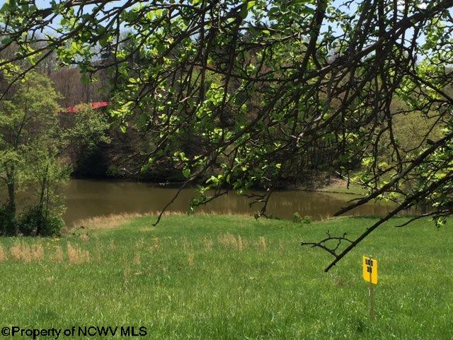 LOT 27 Glady Fork Cabins, Glady Road, Glady, WV 26268
