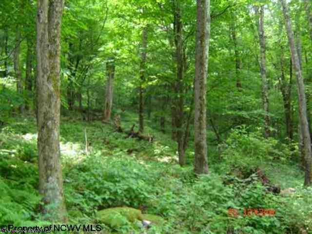 Lot 39 Tory Mountain Road, Harman, WV 26270