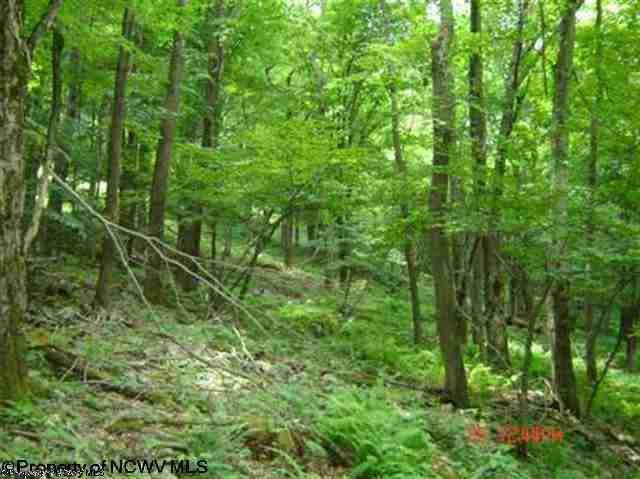 Lot 39 Tory Mountain Road, Harman, WV 26270