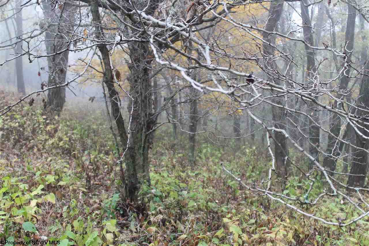 2 High Mountain Road, Harman, WV 26270