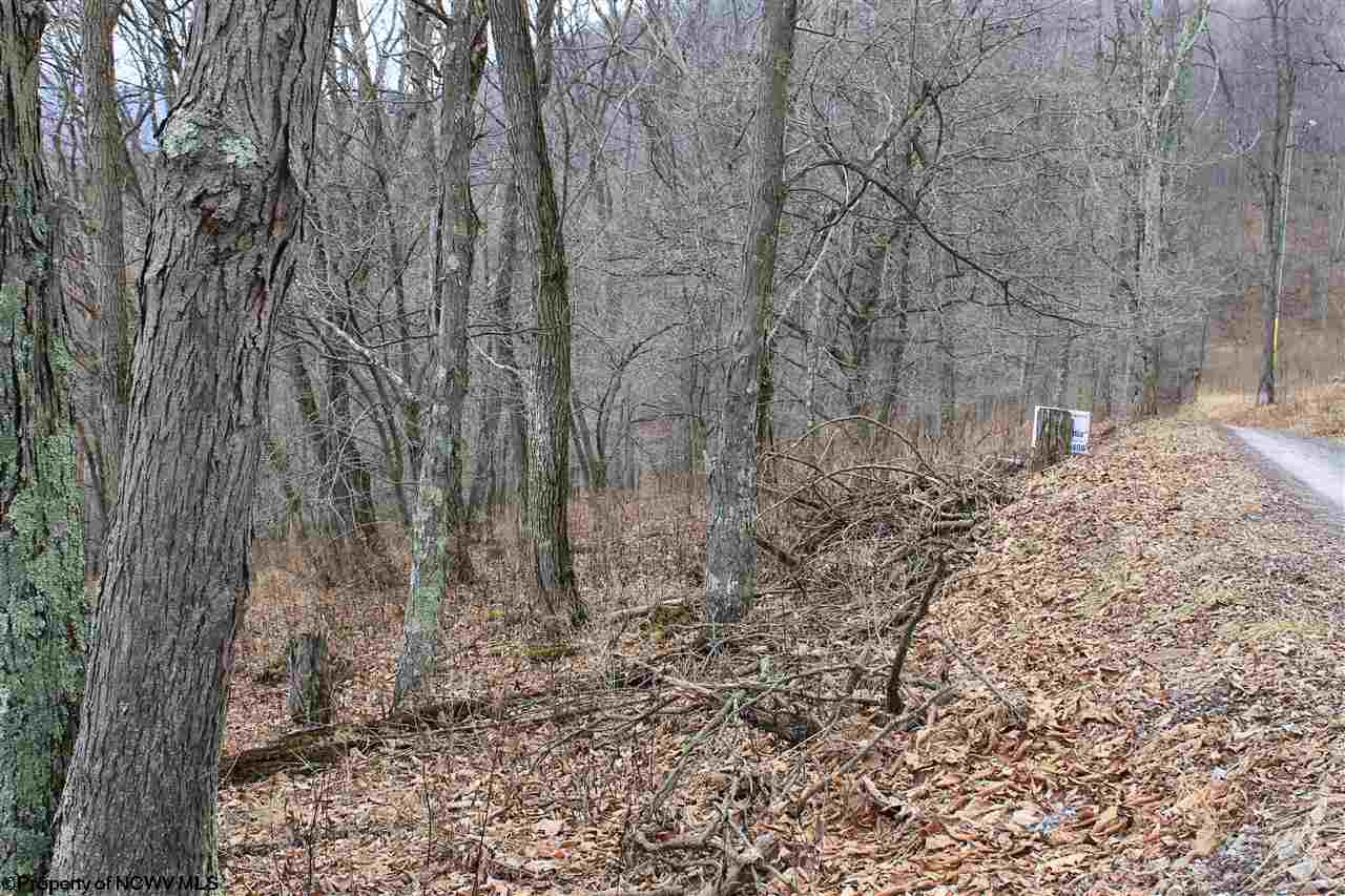 2 High Mountain Road, Harman, WV 26270