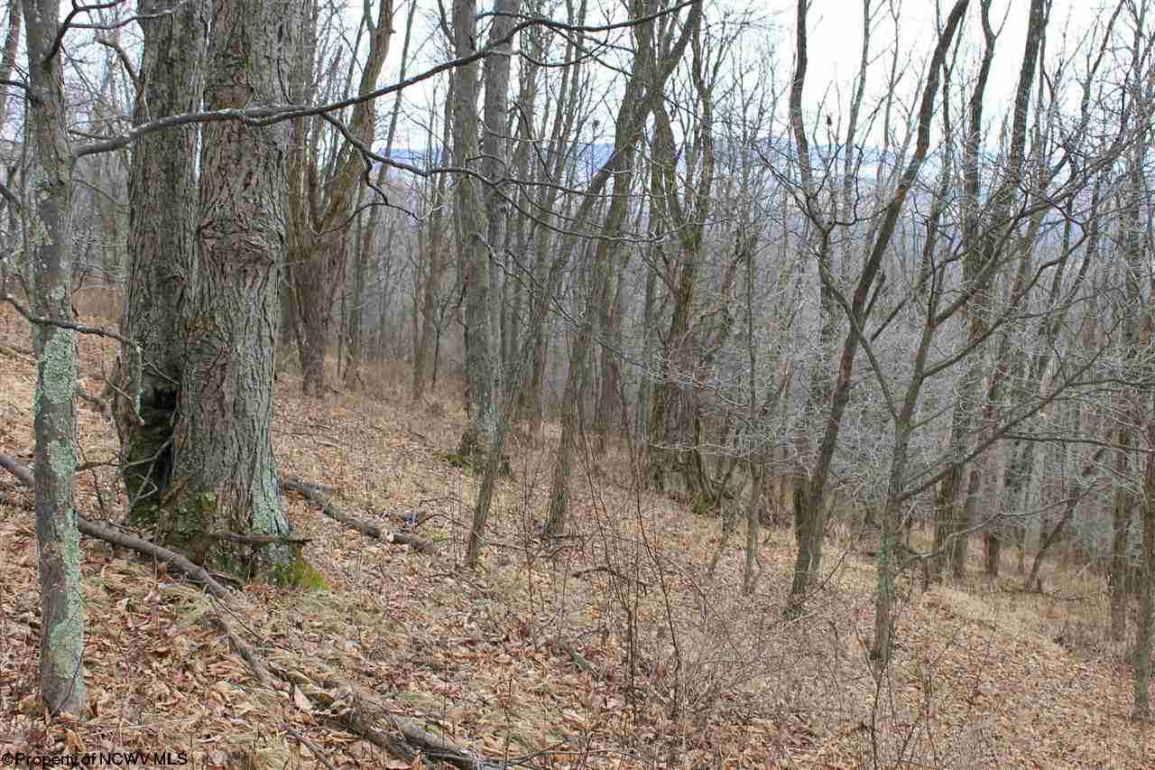 2 High Mountain Road, Harman, WV 26270