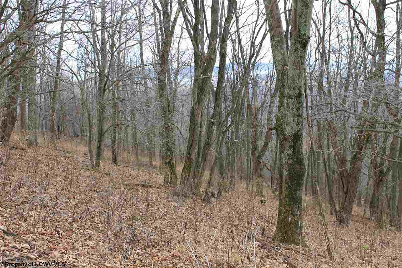 2 High Mountain Road, Harman, WV 26270