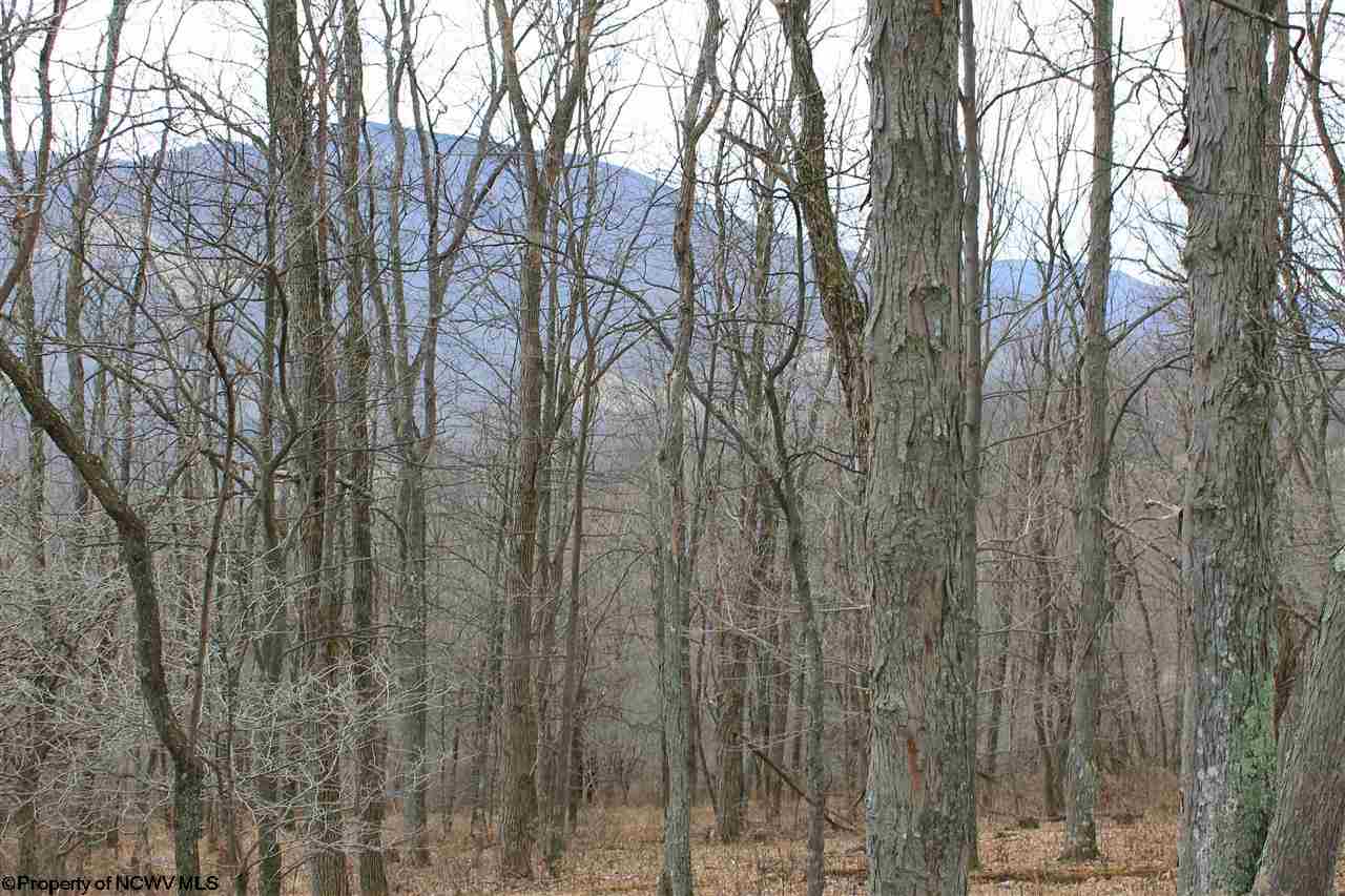 2 High Mountain Road, Harman, WV 26270