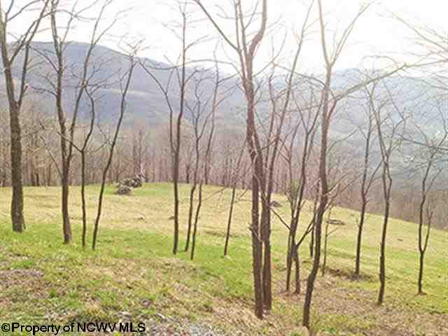 39 High Mountain Road, Harman, WV 26270