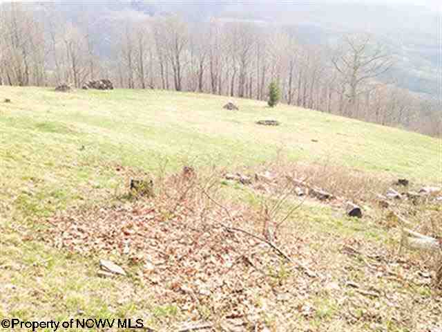 39 High Mountain Road, Harman, WV 26270
