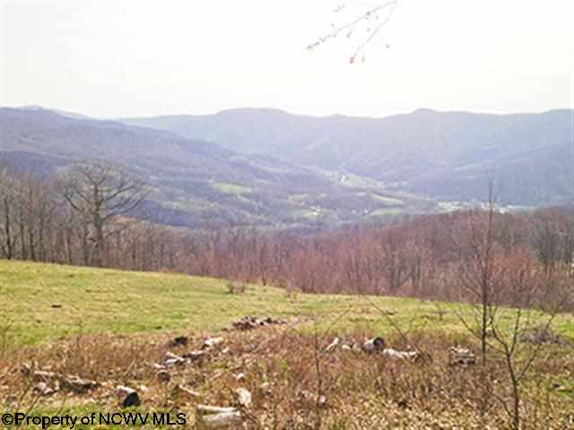 38 High Mountain Road, Harman, WV 26270