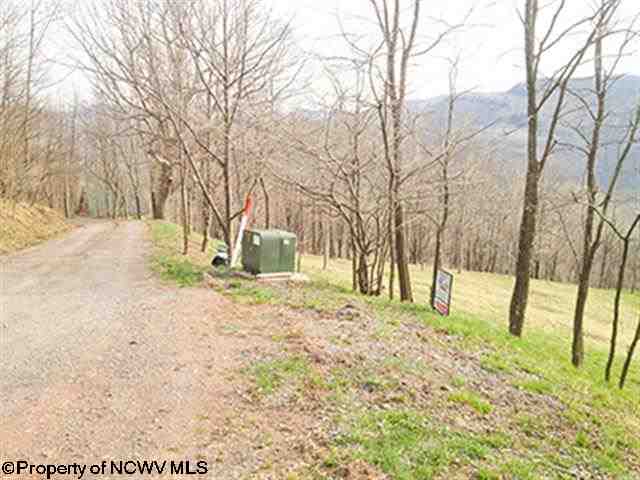 38 High Mountain Road, Harman, WV 26270