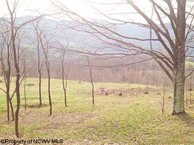 38 High Mountain Road, Harman, WV 26270