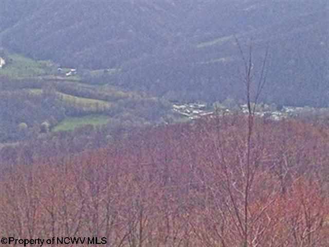 38 High Mountain Road, Harman, WV 26270