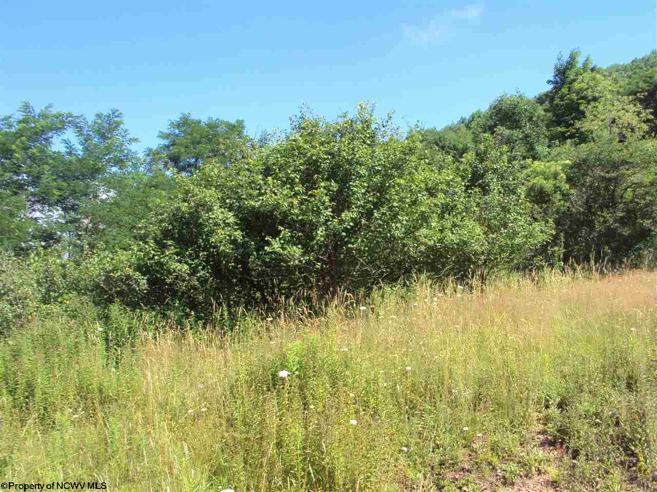 Meadows W West Road, Harman, WV 26270