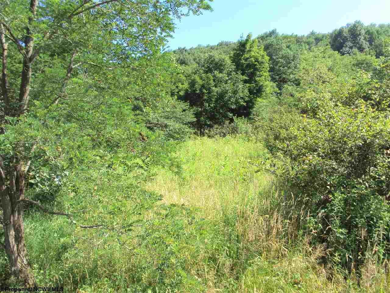 Meadows W West Road, Harman, WV 26270