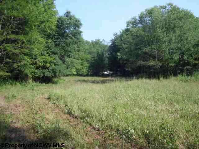 Lot 38 Tory Camp Road