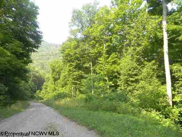 Lot 38 Tory Camp Road