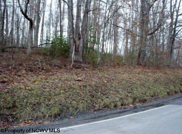 Lot 38 Tory Camp Road