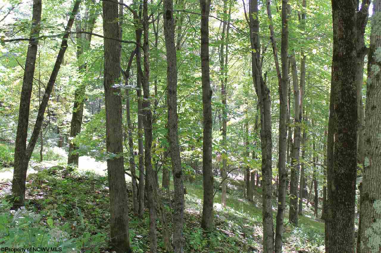 34 Meadows E High Mountain Road