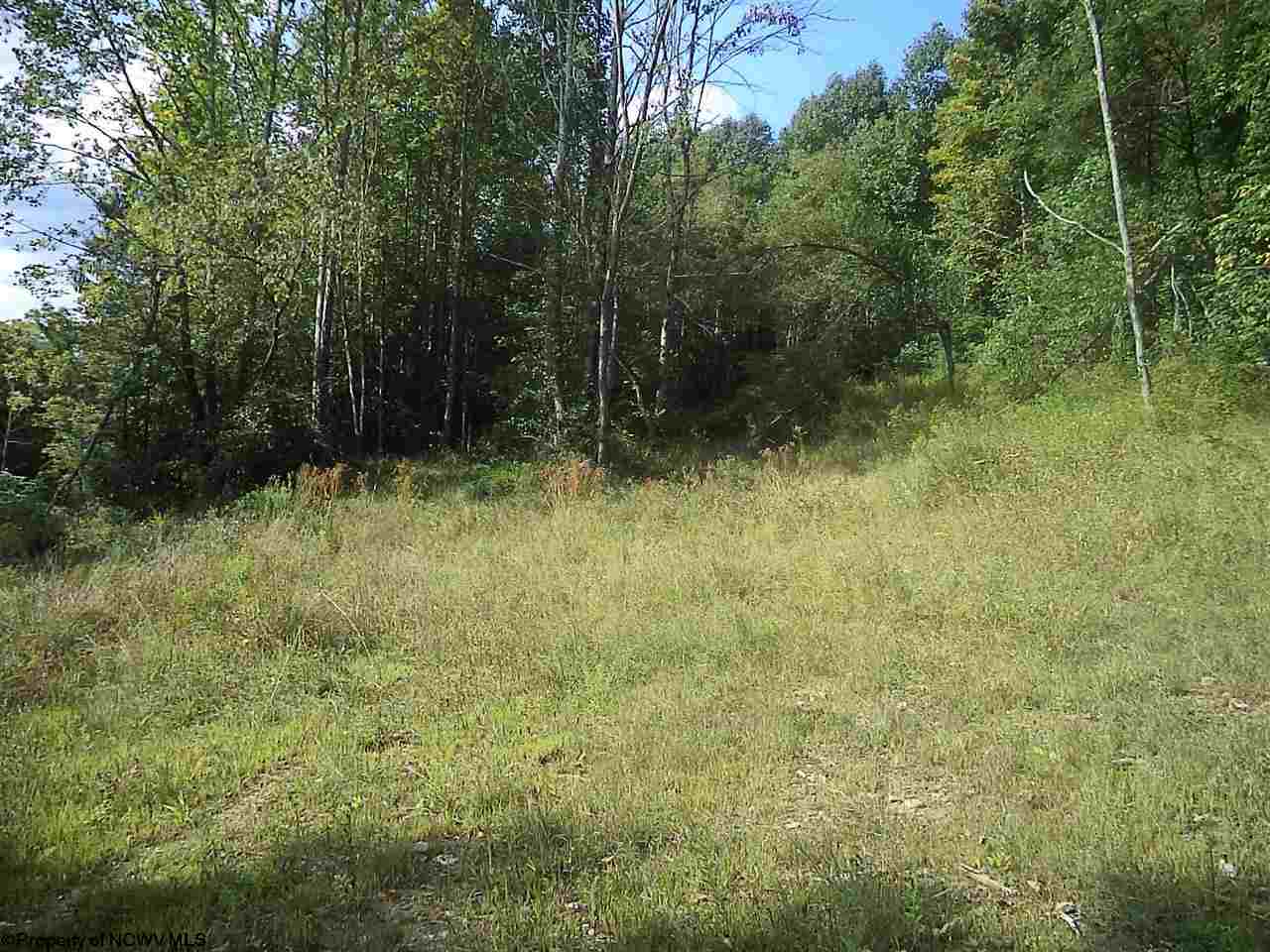 00 Shavers Fork Road Lane