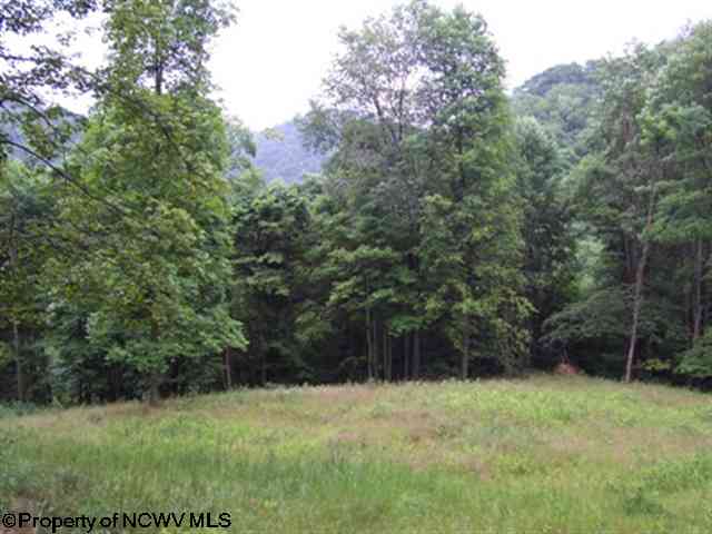 00 Shavers Fork Road Lane