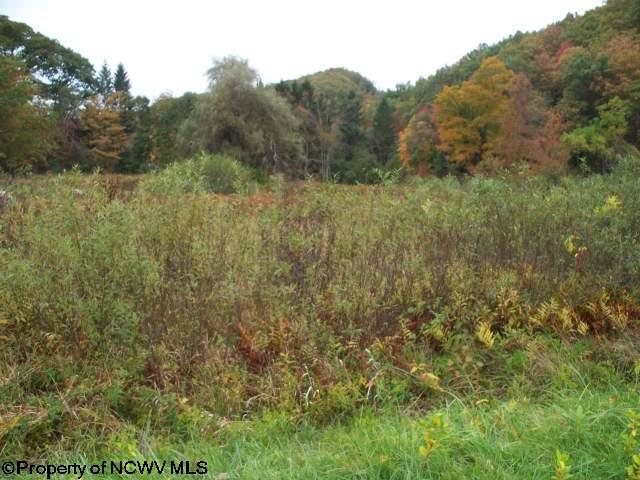 RR 1, SALT LICK Road, Montrose, WV 26283
