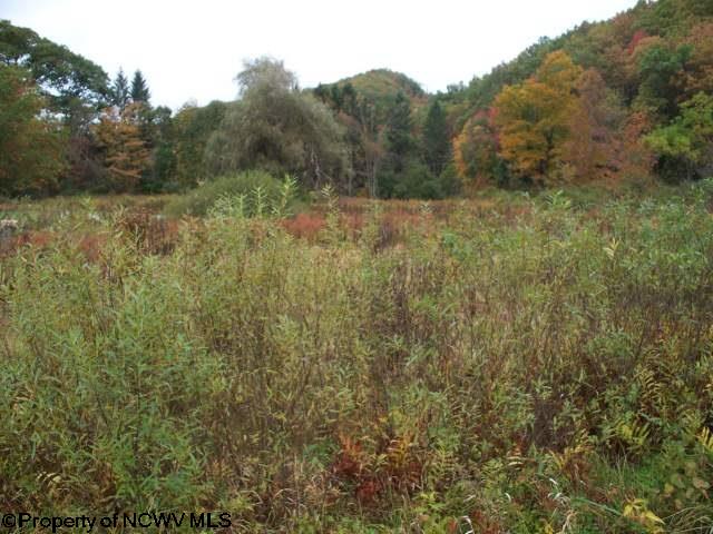 RR 1, SALT LICK Road, Montrose, WV 26283