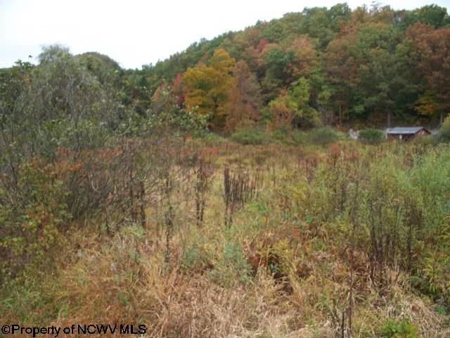 RR 1, SALT LICK Road, Montrose, WV 26283