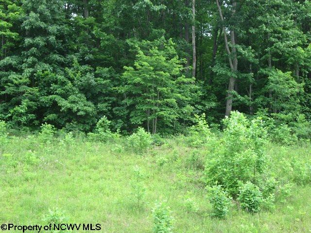Route 33 Highway, Norton, WV 26285
