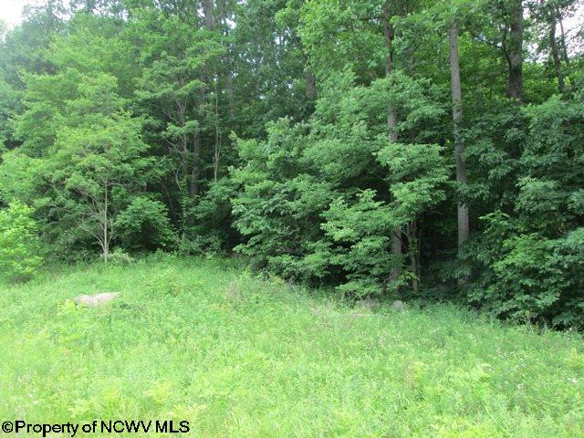 Route 33 Highway, Norton, WV 26285