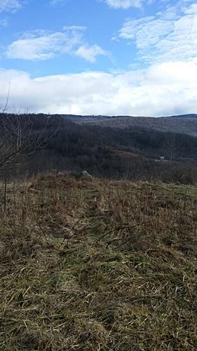 LT.7 FASSIFERN FIELDS, Slatyfork, WV 26291