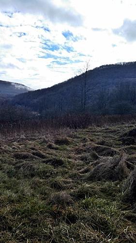 LT.7 FASSIFERN FIELDS, Slatyfork, WV 26291