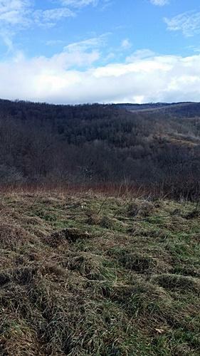 LT.7 FASSIFERN FIELDS, Slatyfork, WV 26291