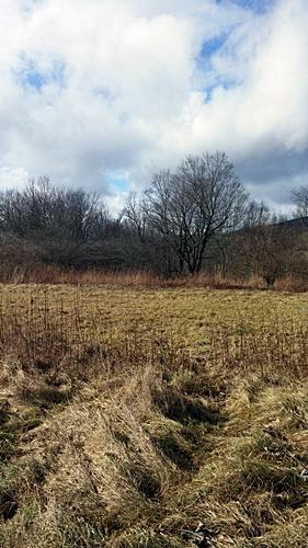 LT.7 FASSIFERN FIELDS, Slatyfork, WV 26291