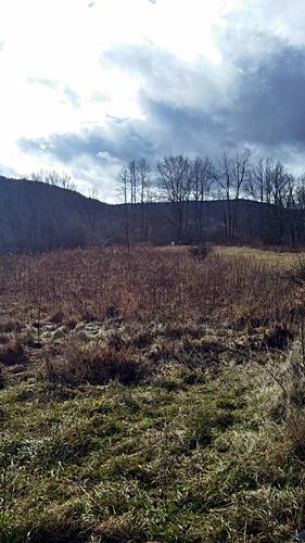 LT.7 FASSIFERN FIELDS, Slatyfork, WV 26291