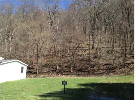 Hc 67 Box 27aValley Head, WV, 26294Randolph County