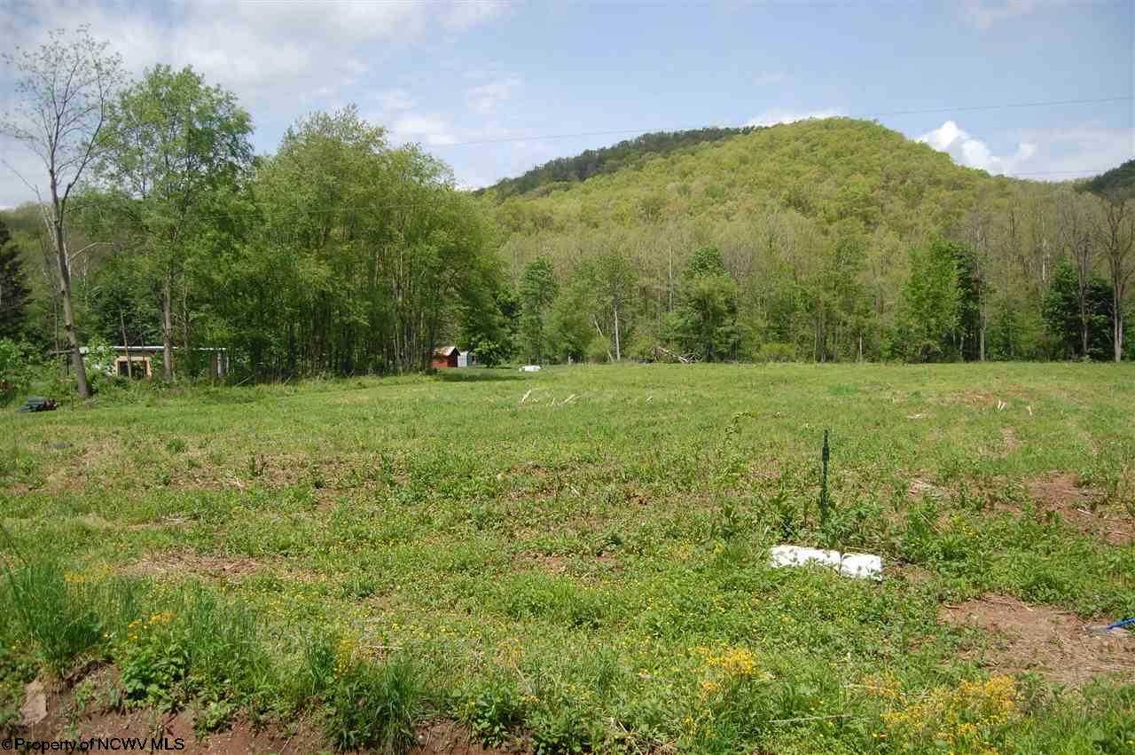 RR 219 CONRAD SUBDIVISION , Valley Head, WV 26294