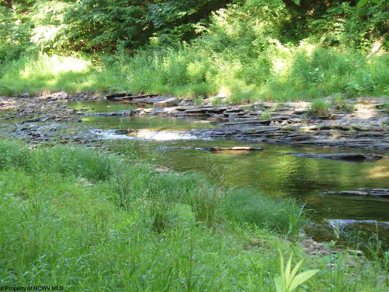 RR 219 CONRAD SUBDIVISION , Valley Head, WV 26294