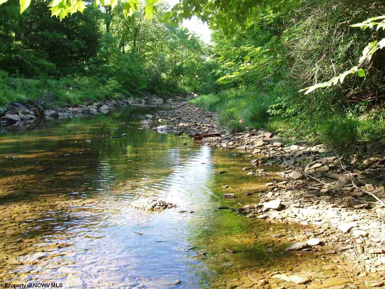 RR 219 CONRAD SUBDIVISION , Valley Head, WV 26294