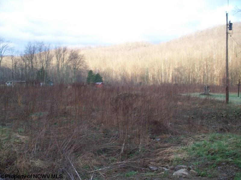 RR 219 CONRAD SUBDIVISION , Valley Head, WV 26294