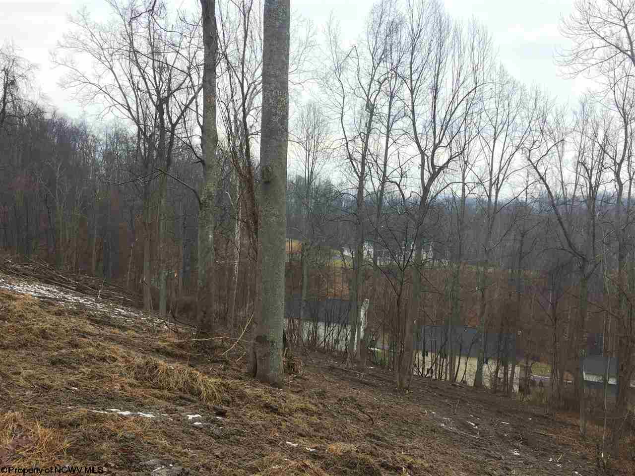 0 Timbercrest Drive, Bridgeport, WV 26330