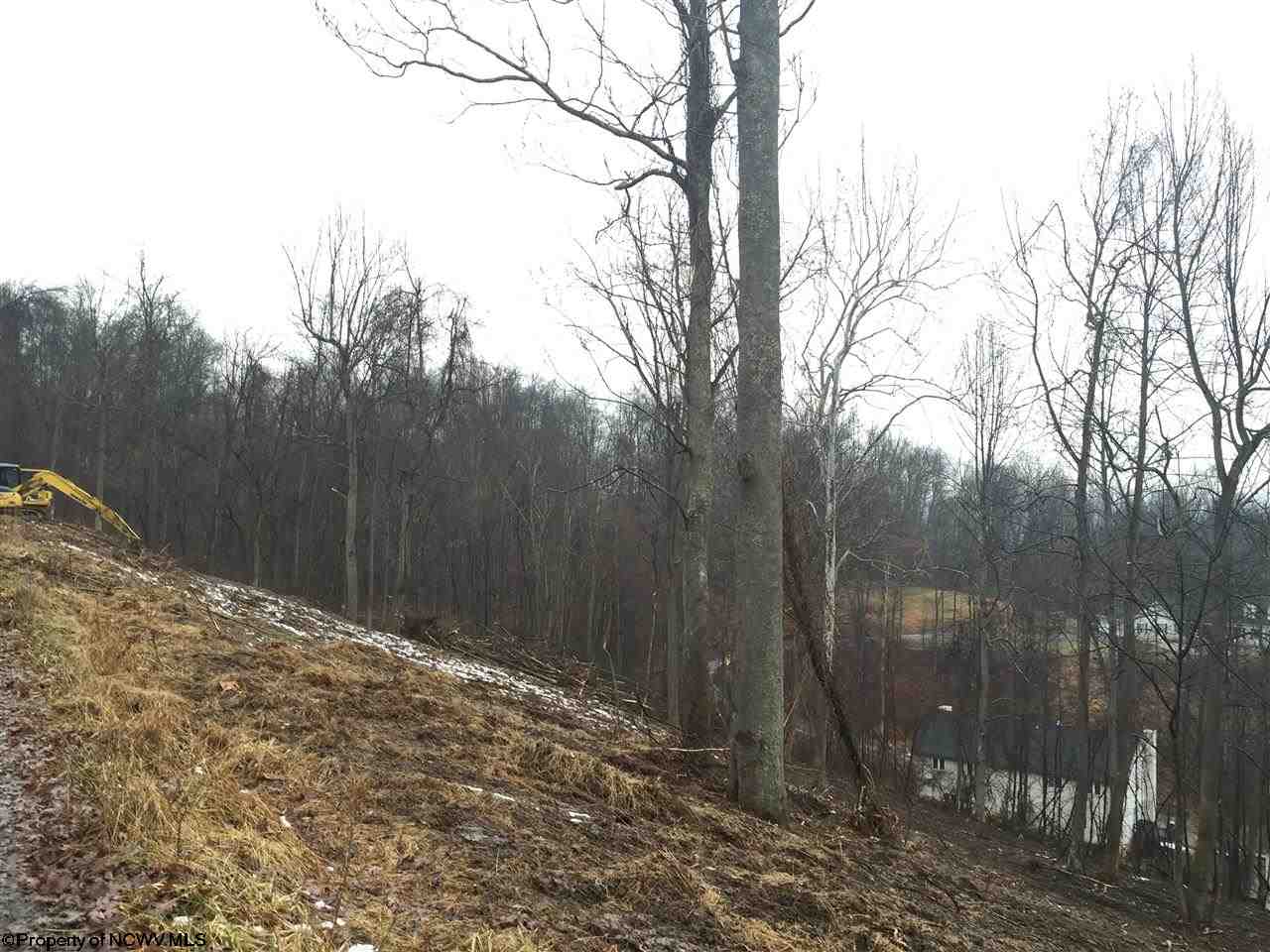 0 Timbercrest Drive, Bridgeport, WV 26330