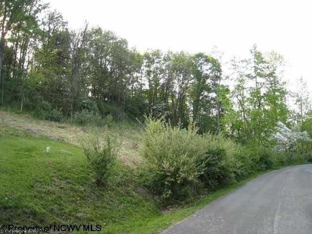 Lot 45 Sycamore Drive