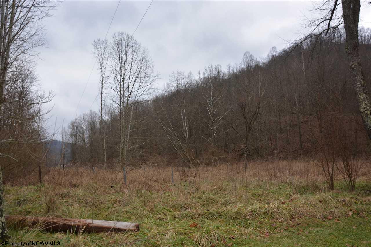 TBD Churchville Road, Camden, WV 26338